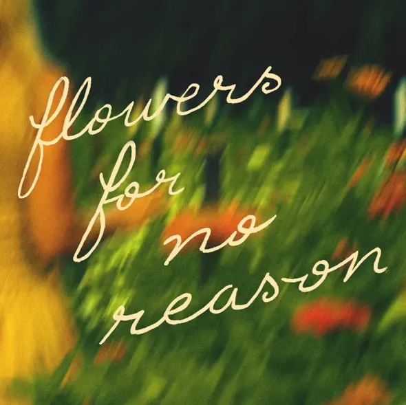 Flowers For No Reason (Single) by Ellie Holcomb