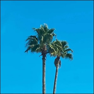 Backseat Drive (Single) by Strings And Heart