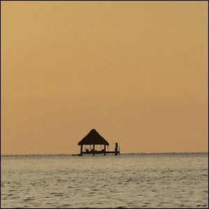 oasis for my soul (Single) by Strings And Heart