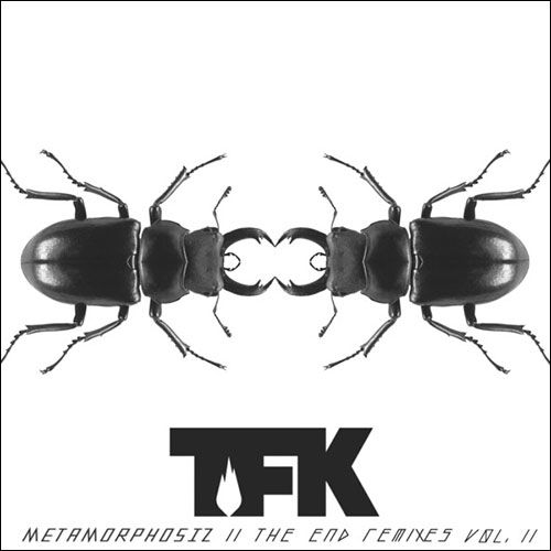 Metamorphosiz - The End Remixes Vol. II Album Review by Thousand Foot Krutch