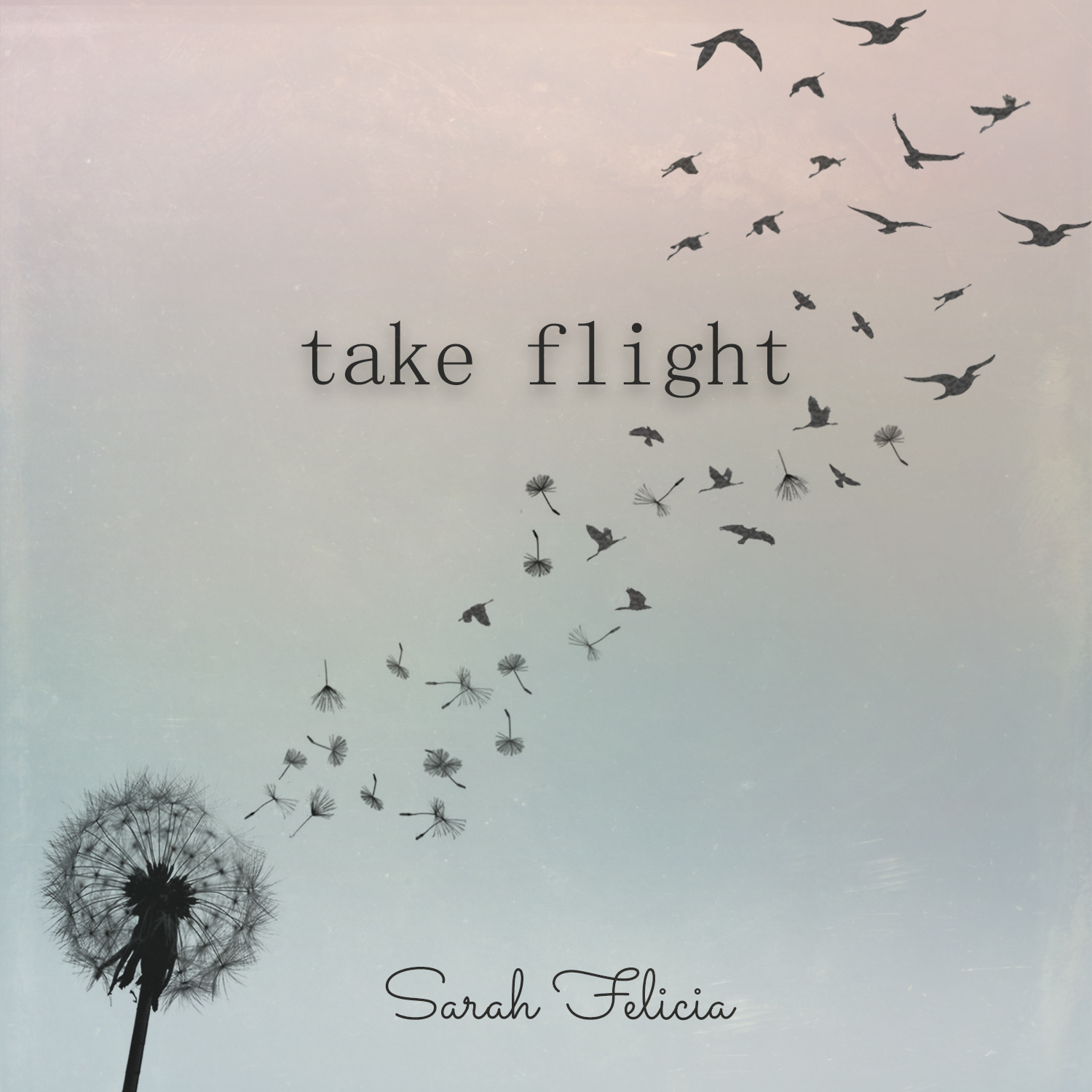 Take Flight by Sarah Felicia