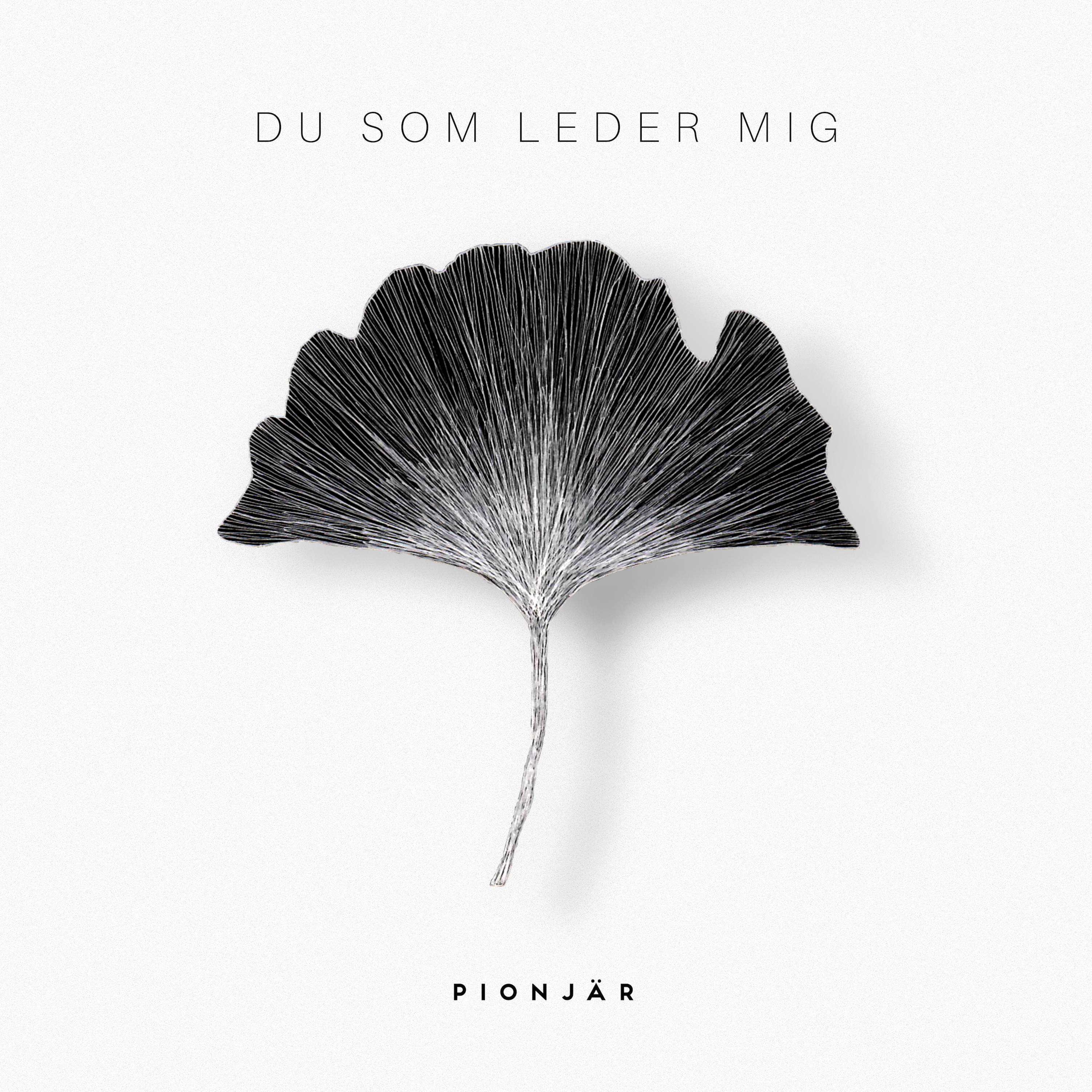 Du Som Leder Mig by Pionjär
