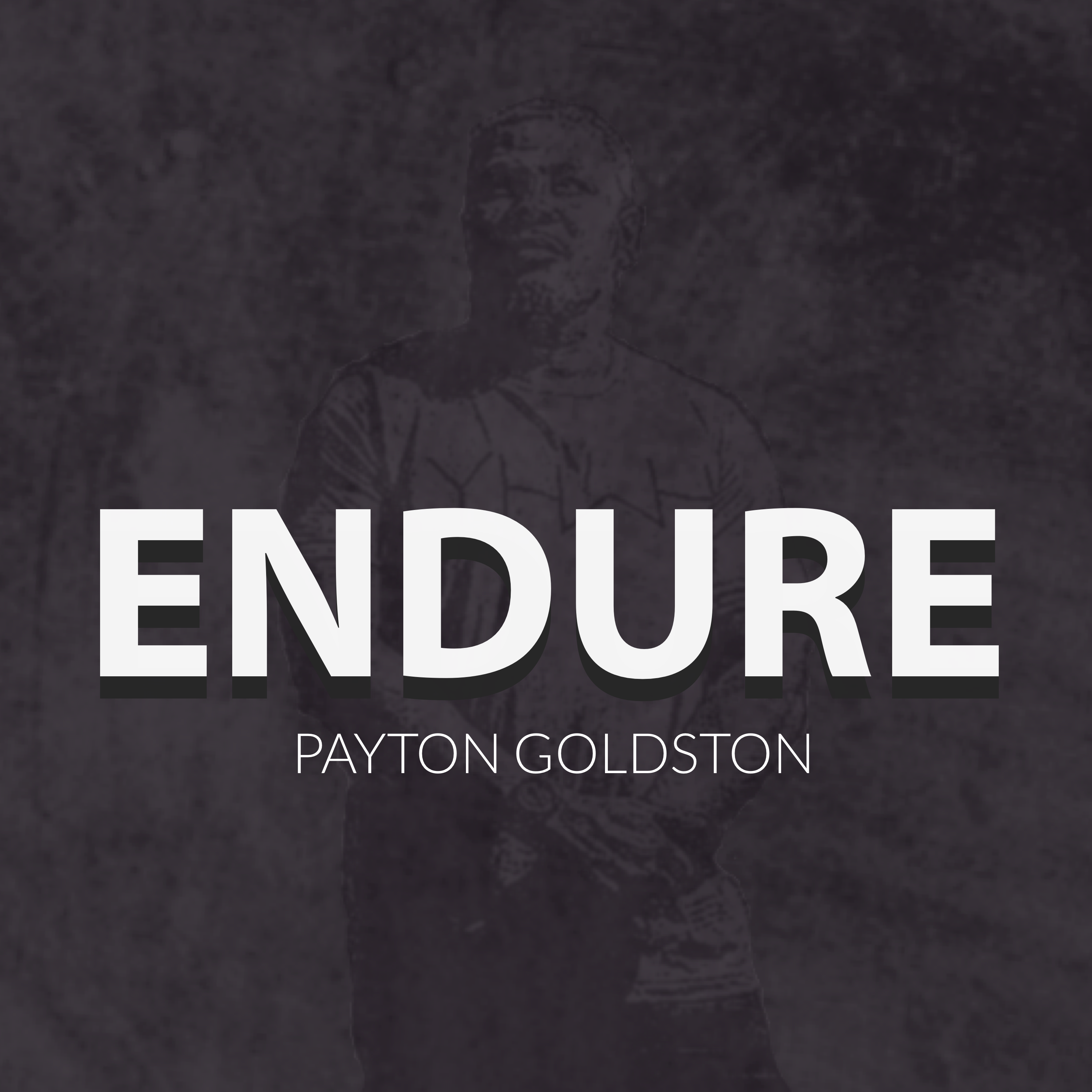 Endure by Payton Goldston