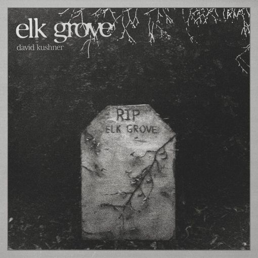 Elk Grove (Single) by David Kushner