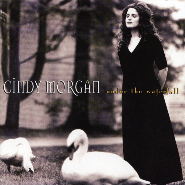 Under The Waterfall by Cindy Morgan