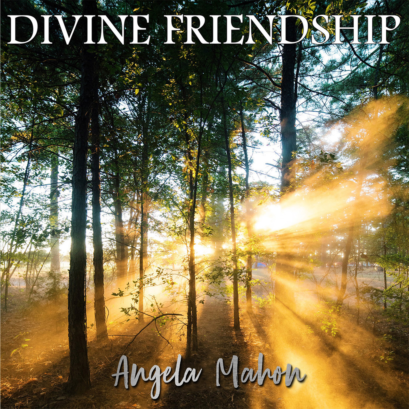 Divine Friendship by Angela Mahon