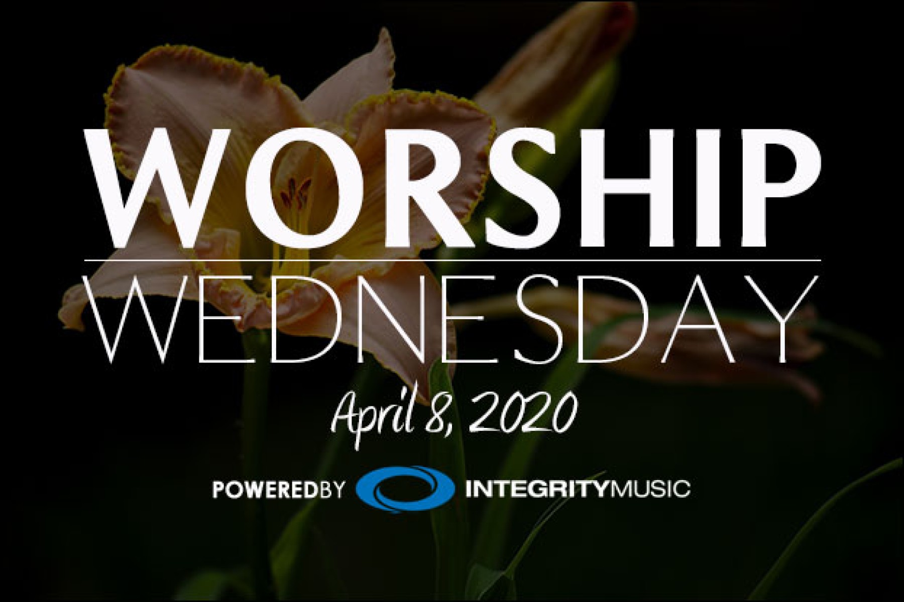 #3 - Easter Compilation, Devotionals, The Worship Reflective