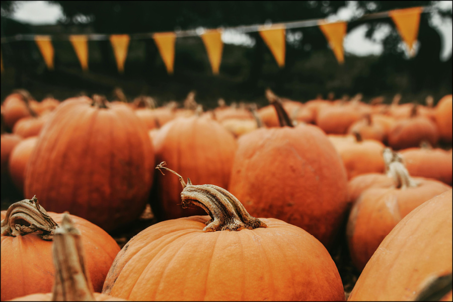 #2 - Spooky, Sweet, or Sacred: How Christians Approach Halloween, Articles