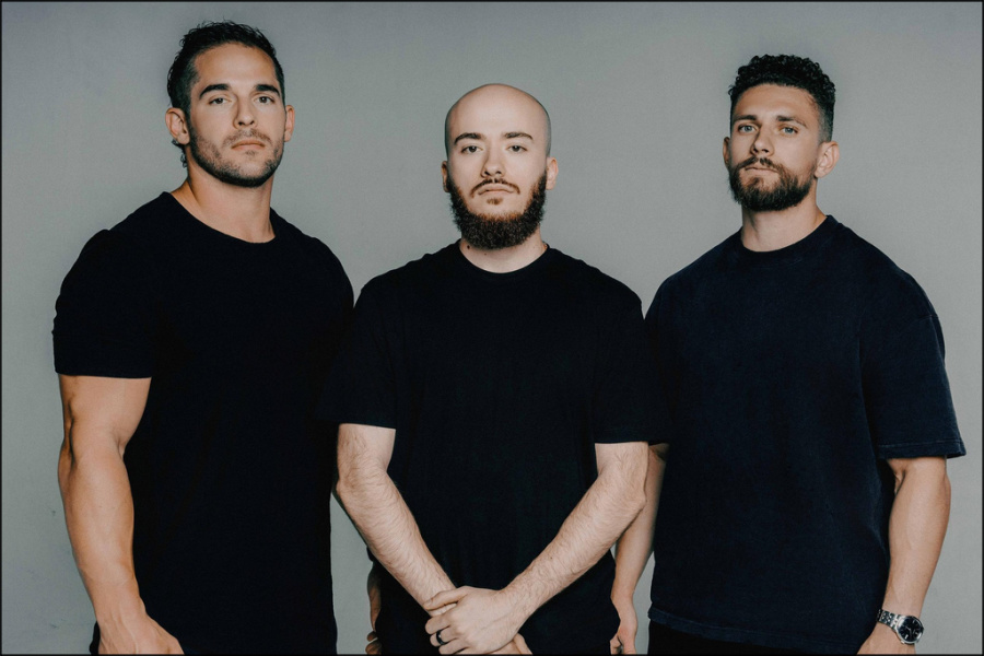 #45 - REFORMED, Death Therapy, Plead The Widow's Cause, Articles, The Rock Report