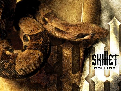 skillet-collide.jpg