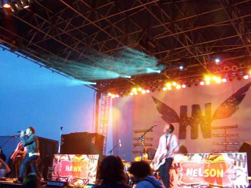 Hawk Nelson