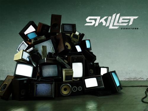 skillet_913_1024x768.jpg
