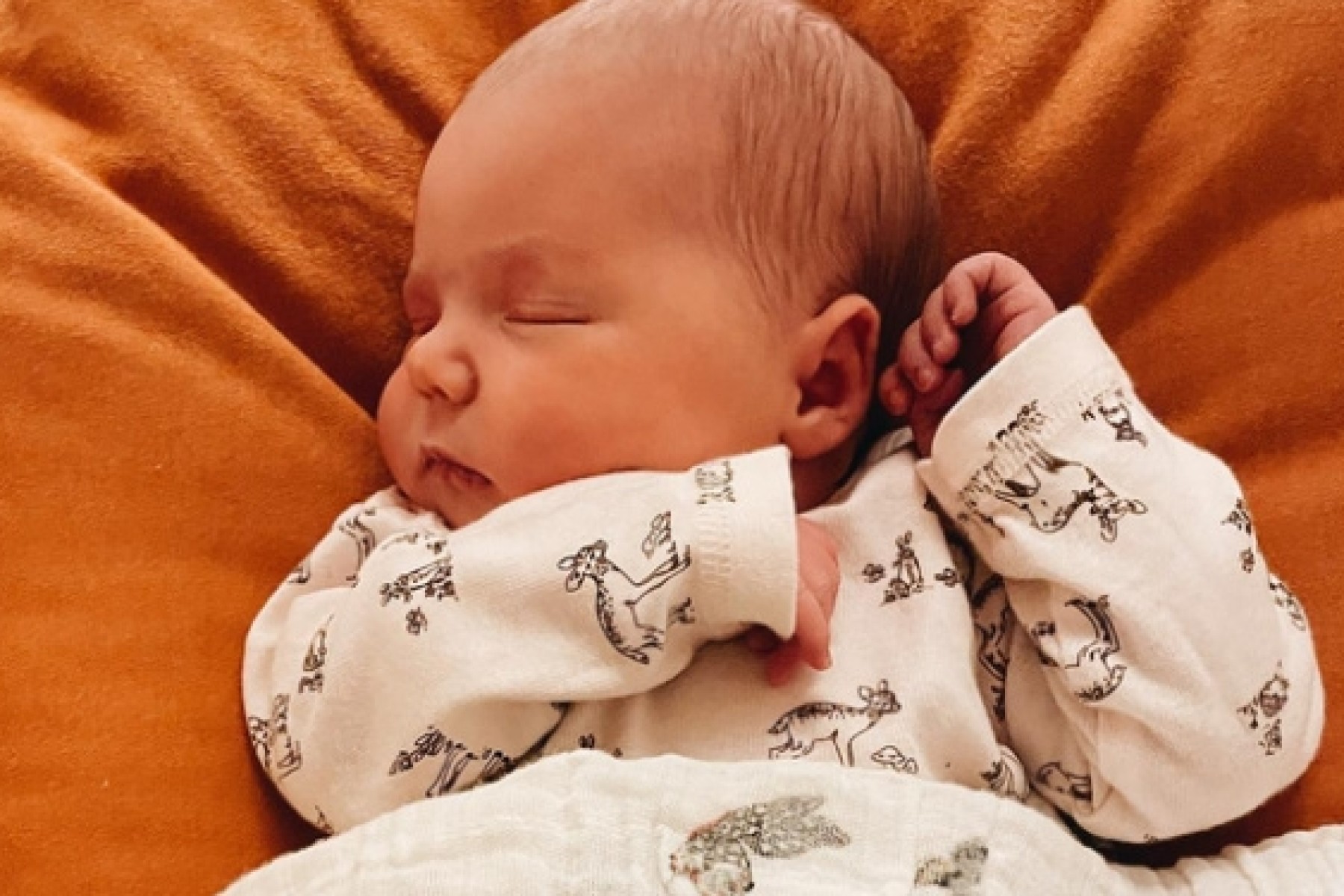 Francesca Battistelli Announces Birth of Sixth Child