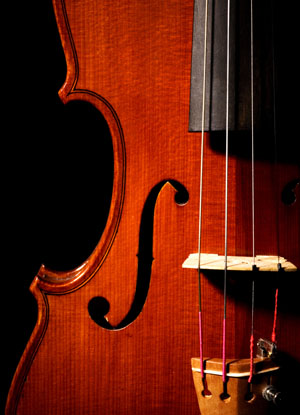 violinluv